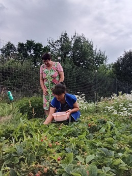 Социальные работники провели акцию «Ягоды на зиму!»