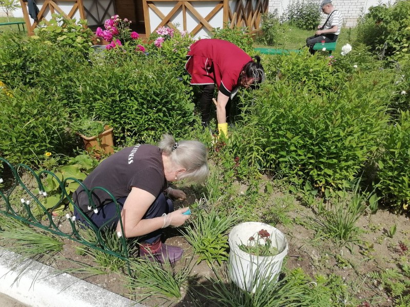 Благоуствойство клумб