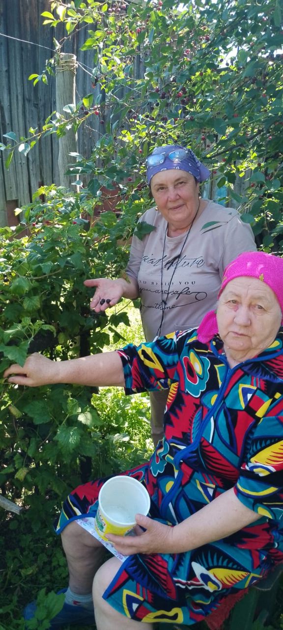 День смородины