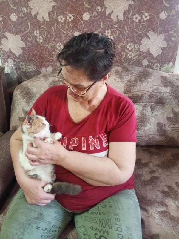 День домашних животных