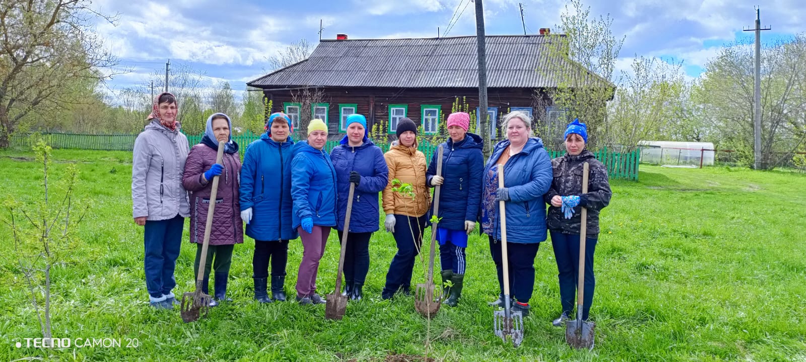 Сиреневый сад