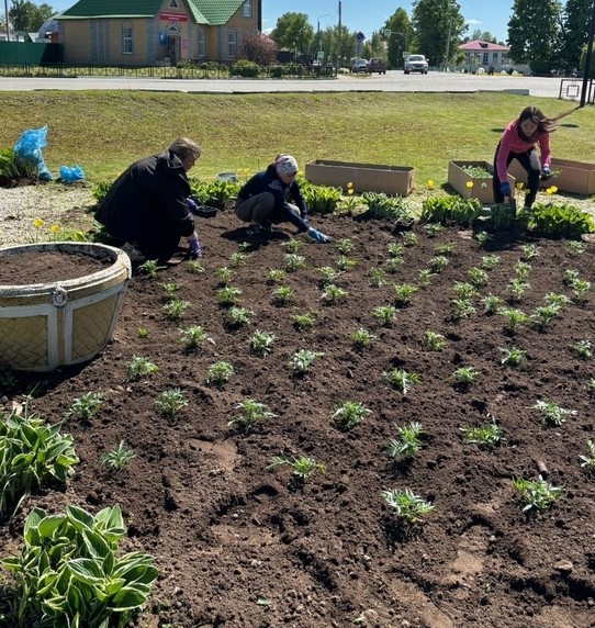 Посадка цветов
