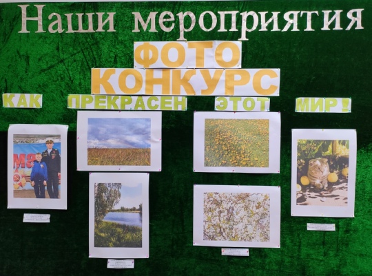 Как прекрасен этот мир!