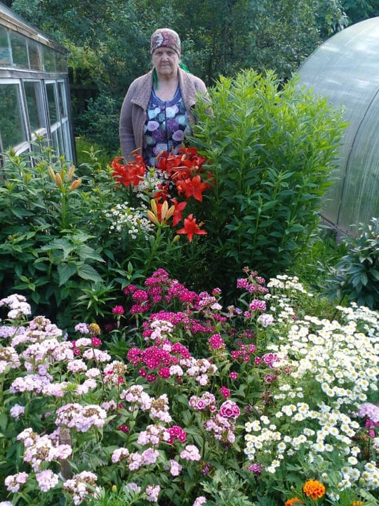 Летние прогулки.