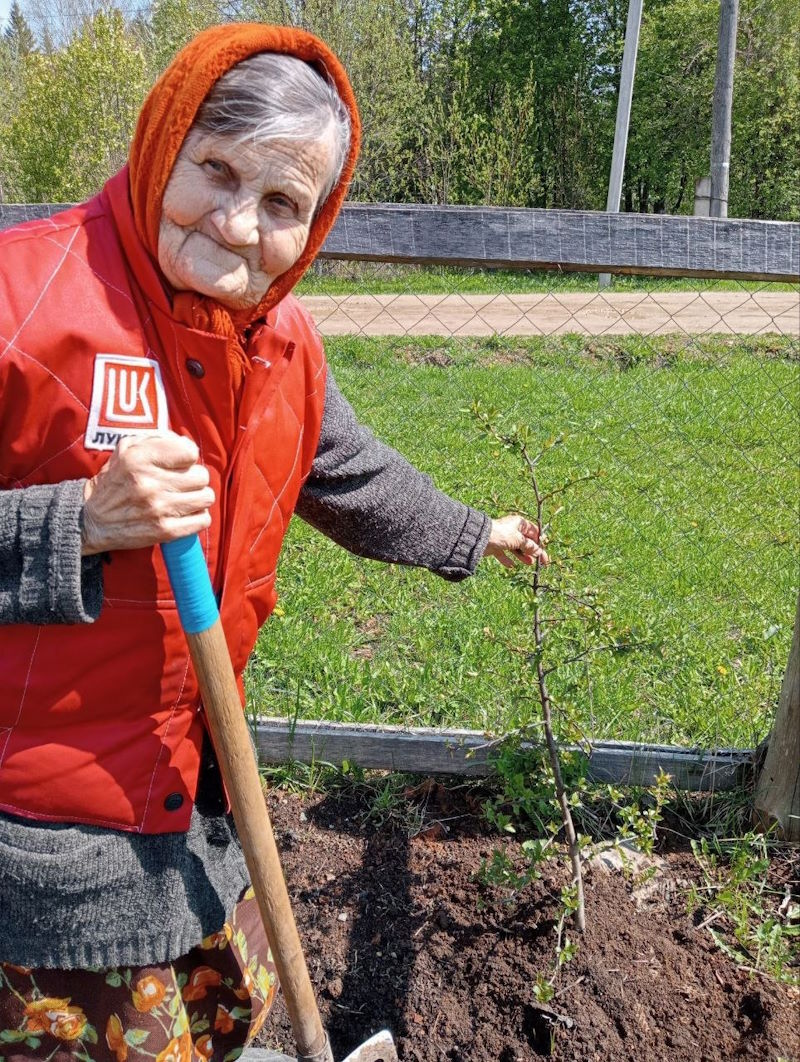 16 мая отмечался День любви к деревьям!
